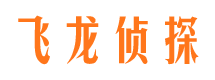 河间侦探公司